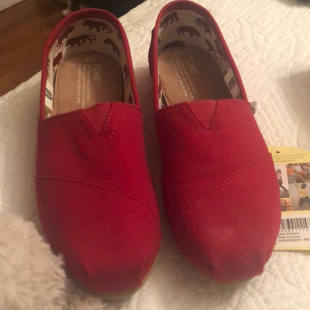 TOMS